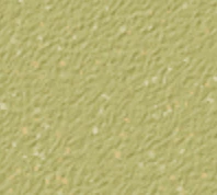 products.gallery.thumbnail_alt