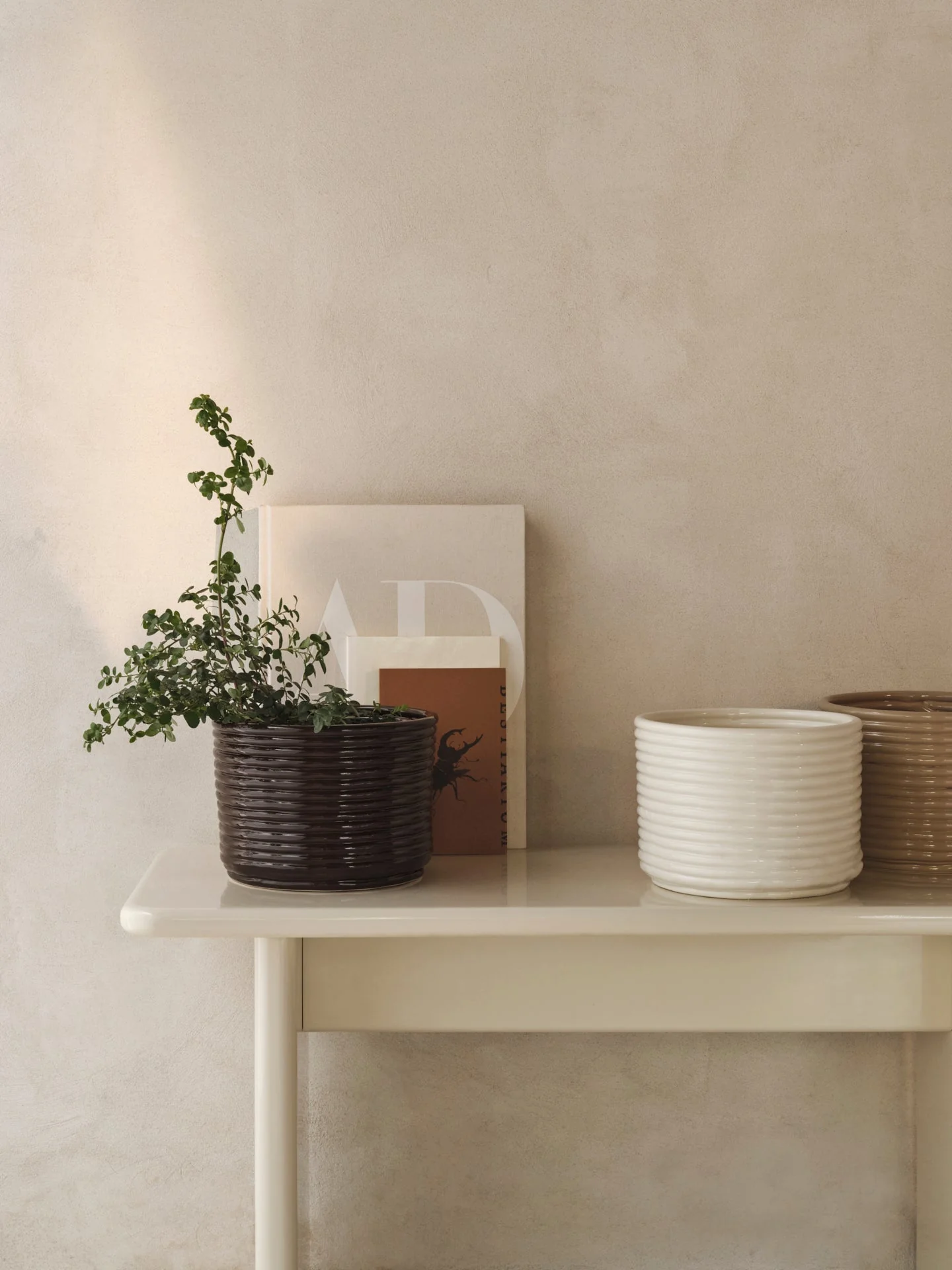 products.gallery.thumbnail_alt