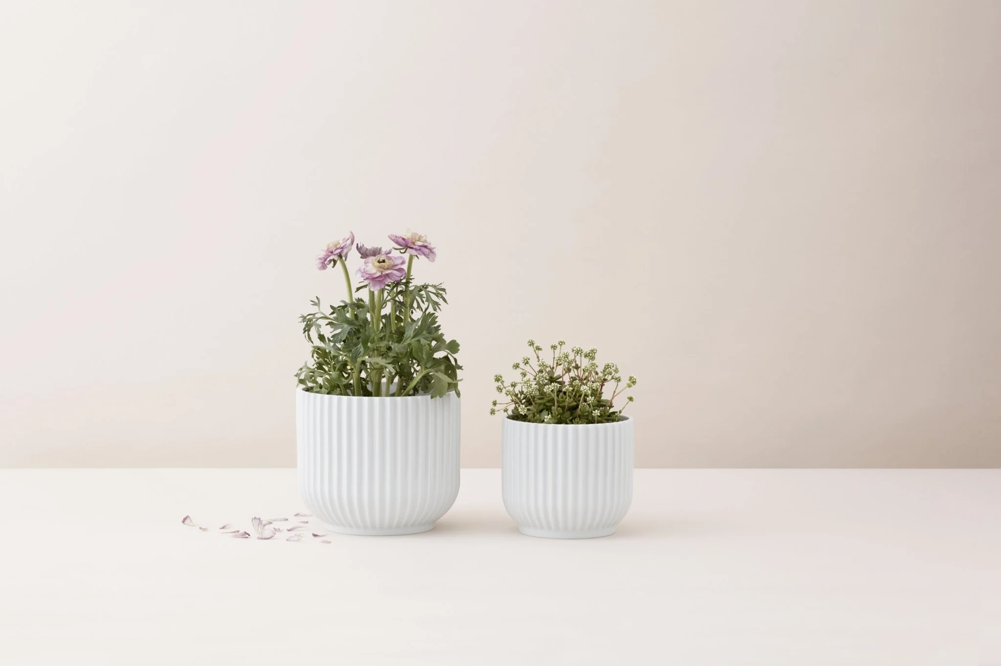 products.gallery.thumbnail_alt