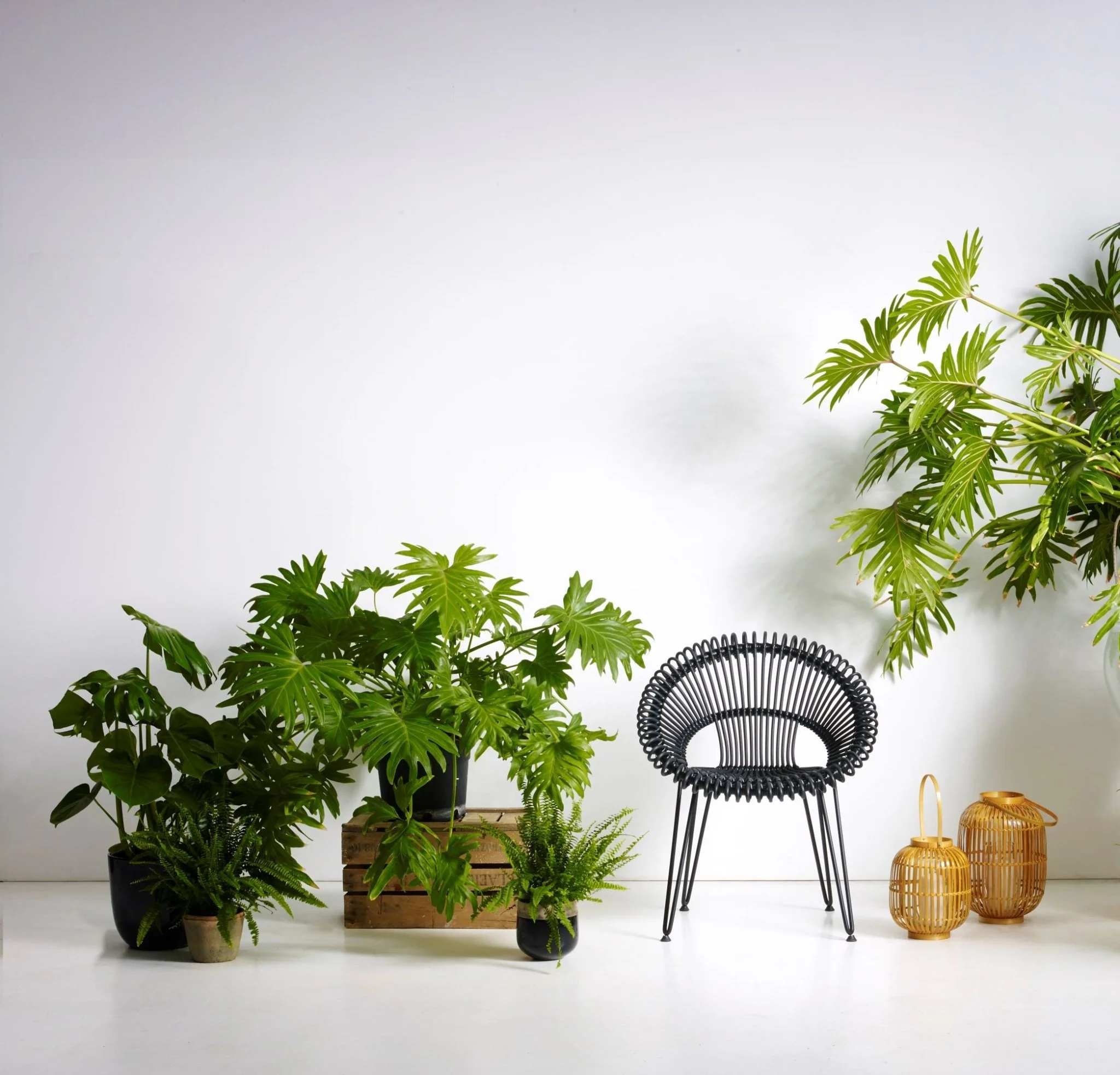 products.gallery.thumbnail_alt