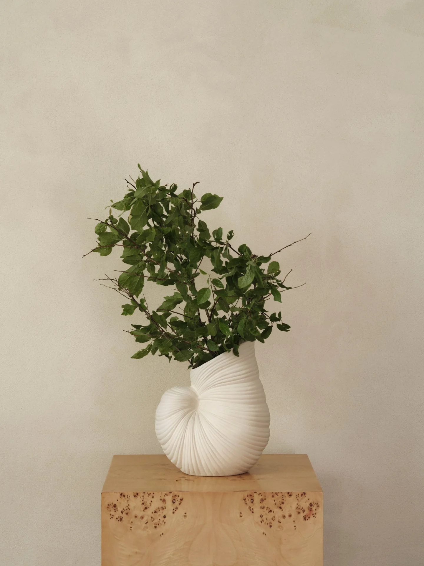 products.gallery.thumbnail_alt