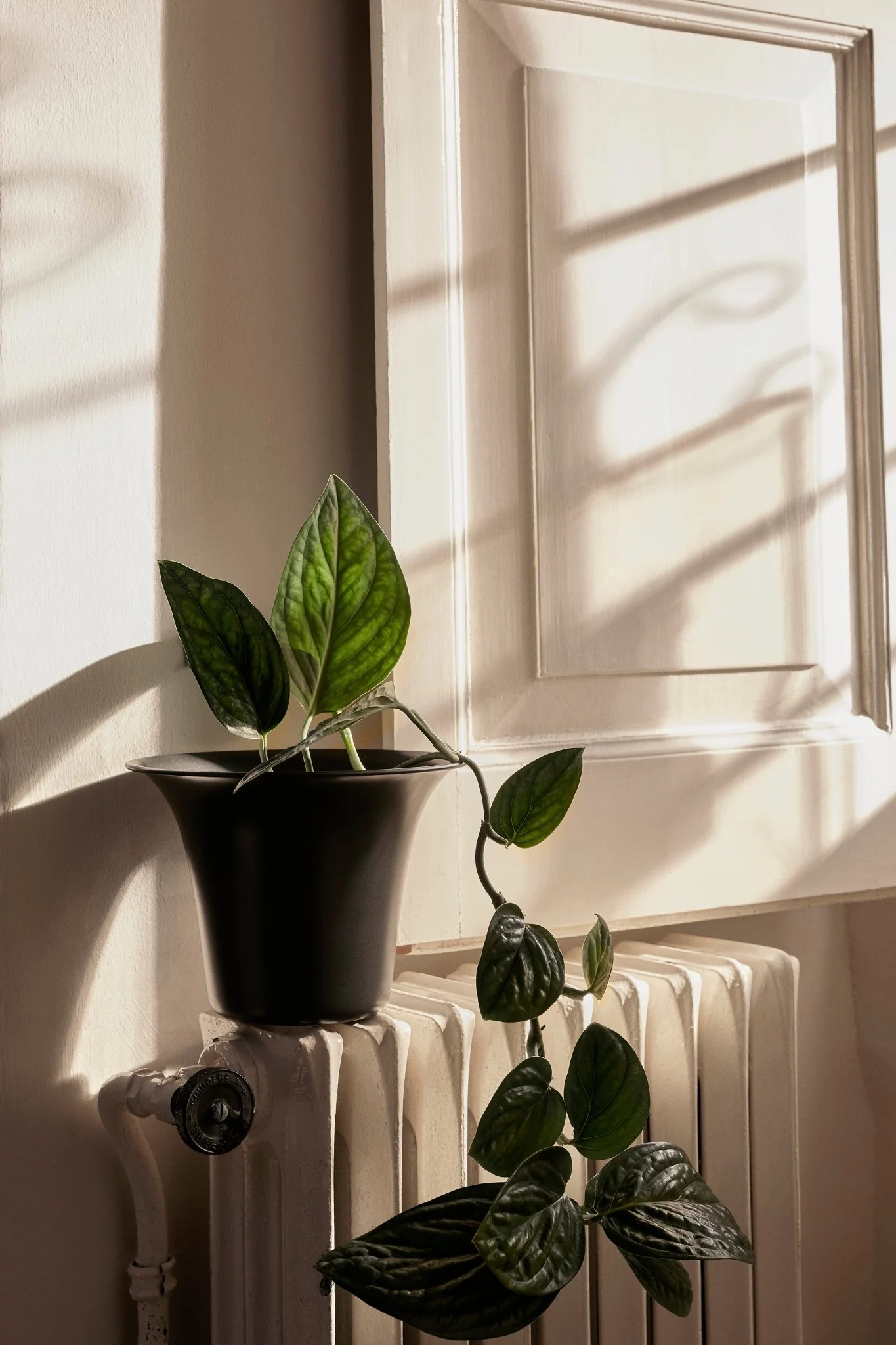 products.gallery.thumbnail_alt