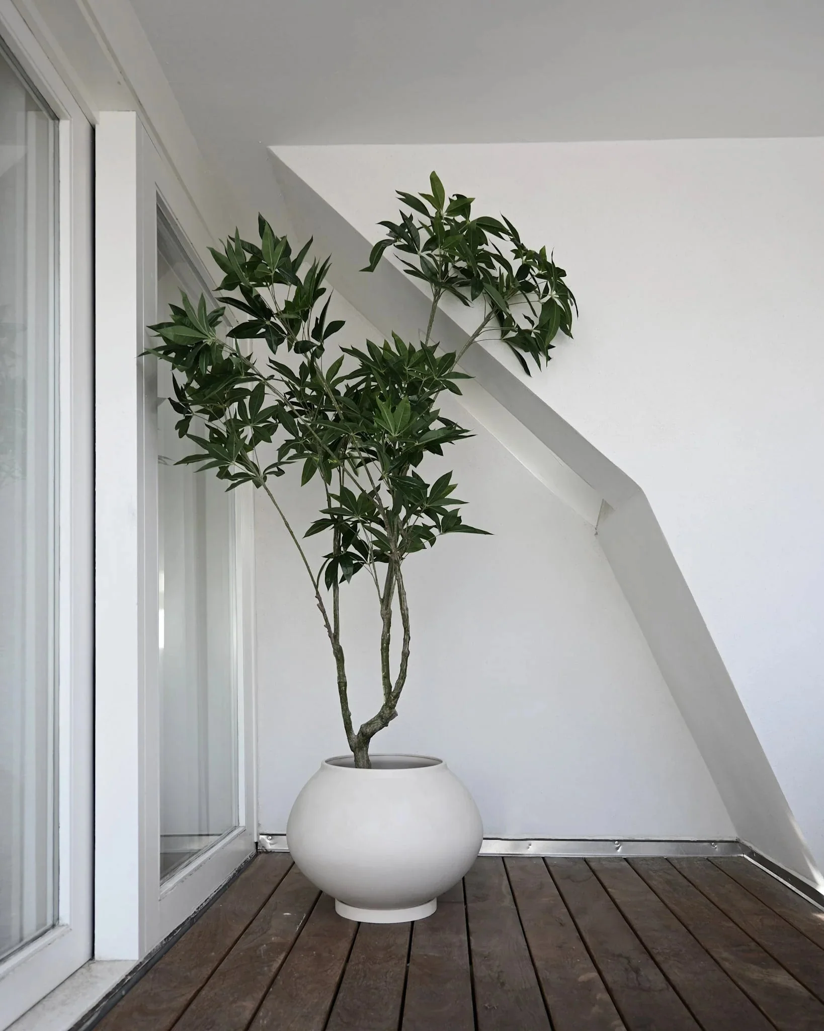 products.gallery.thumbnail_alt
